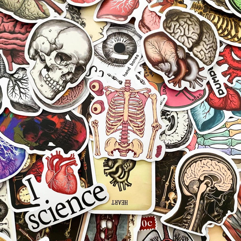 Anatomy Noir | 50 Pcs Gothic Anatomical Stickers Pack