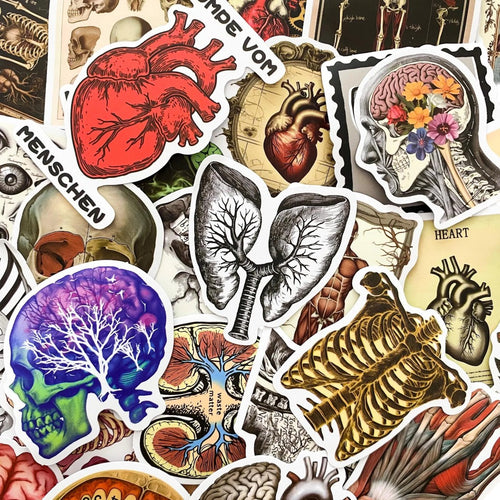 Anatomy Noir | 50 Pcs Gothic Anatomical Stickers Pack