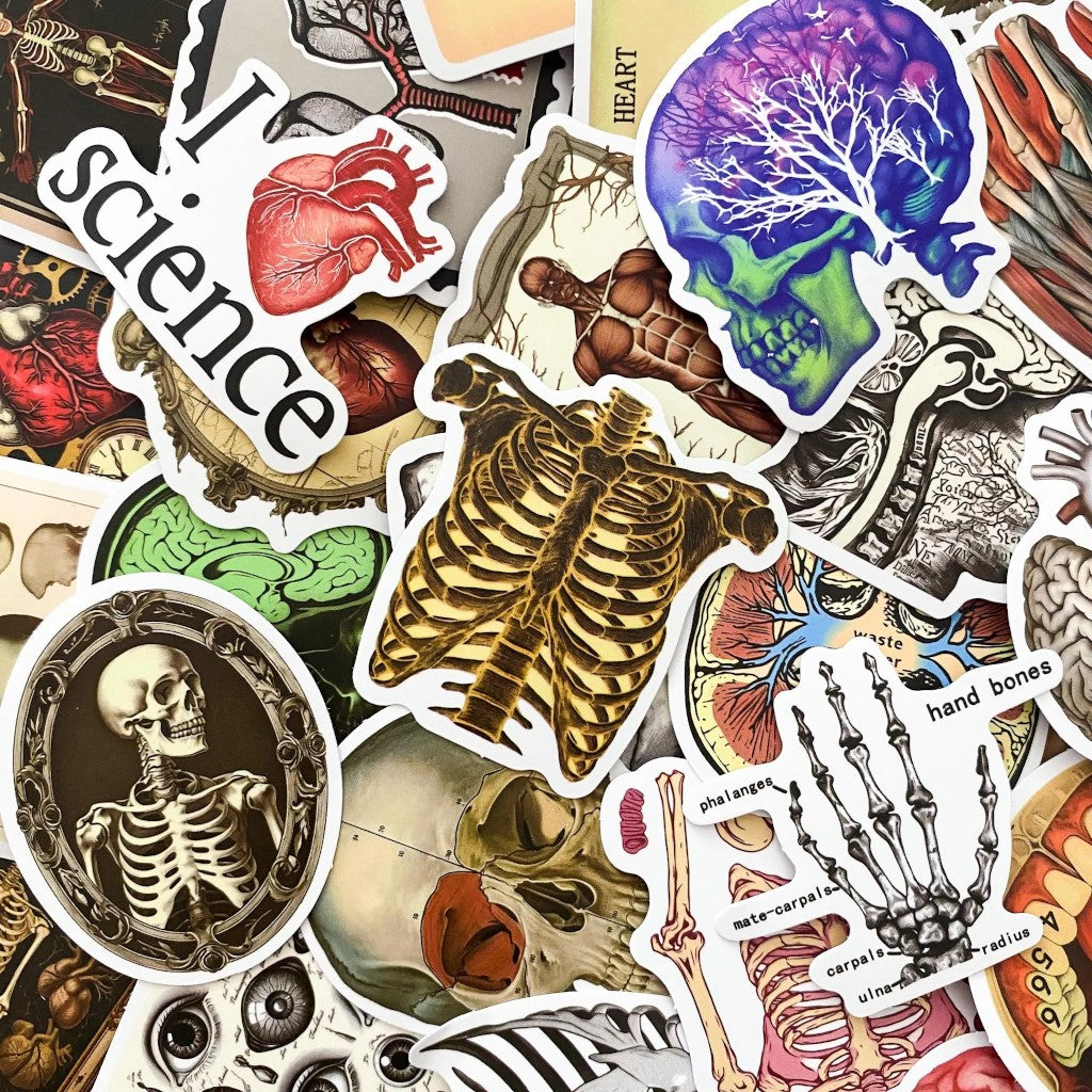 Anatomy Noir | 50 Pcs Gothic Anatomical Stickers Pack