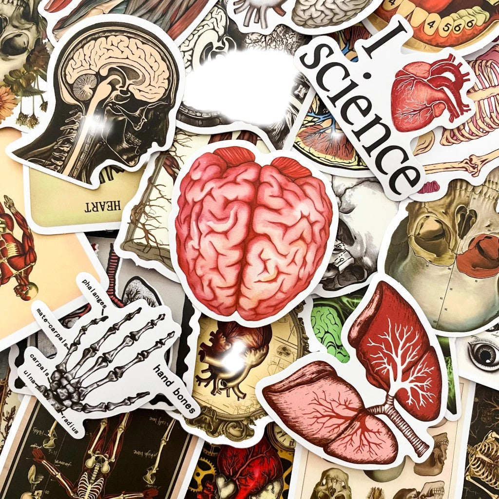 Anatomy Noir | 50 Pcs Gothic Anatomical Stickers Pack