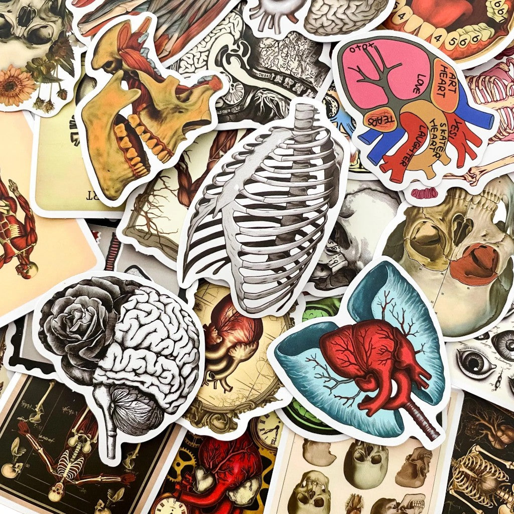 Anatomy Noir | 50 Pcs Gothic Anatomical Stickers Pack