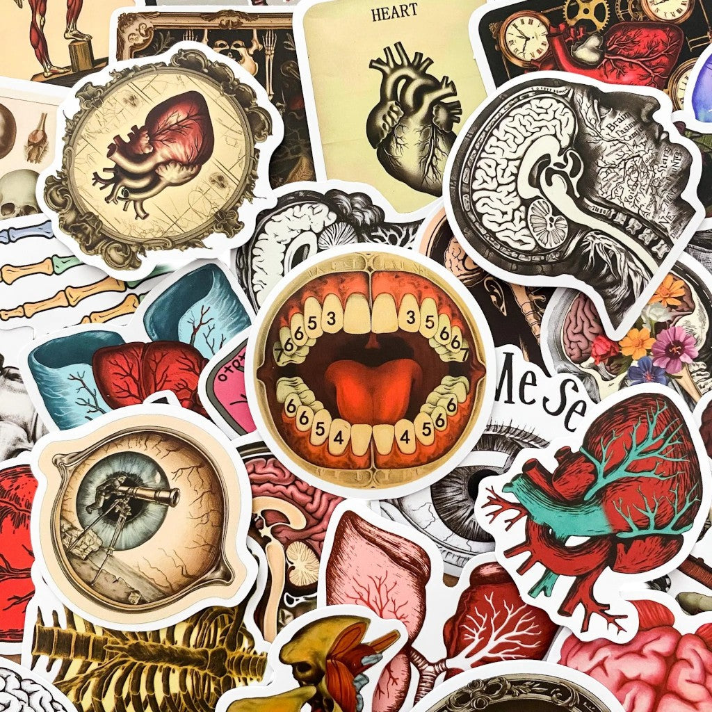Anatomy Noir | 50 Pcs Gothic Anatomical Stickers Pack