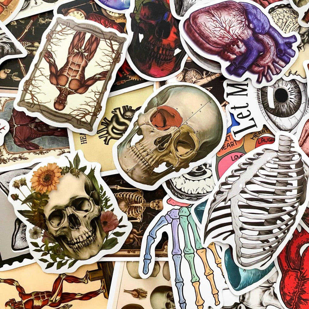 Anatomy Noir | 50 Pcs Gothic Anatomical Stickers Pack