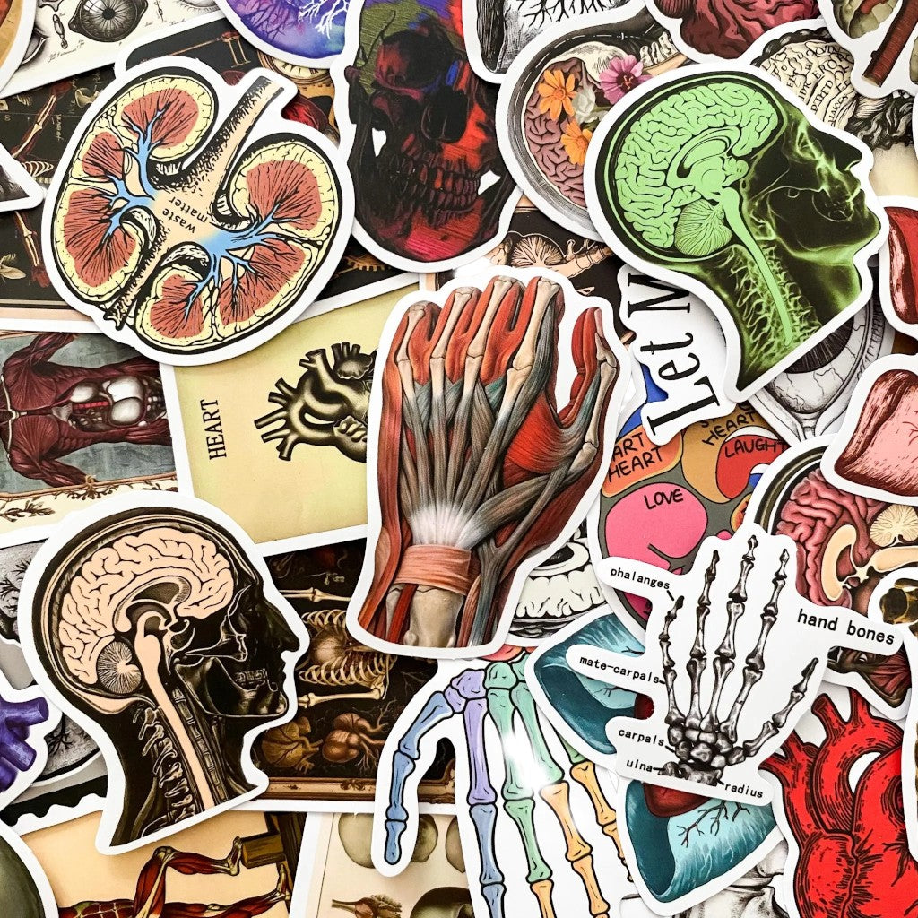 Anatomy Noir | 50 Pcs Gothic Anatomical Stickers Pack